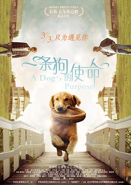 中文字幕第35页